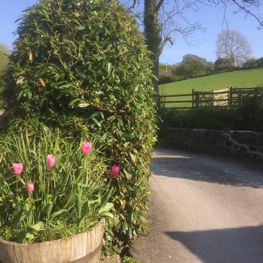 The Bakery Vila Llanddeiniol Exterior foto